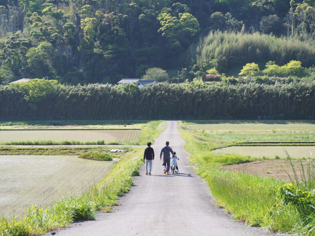 田園散歩/三芳地区