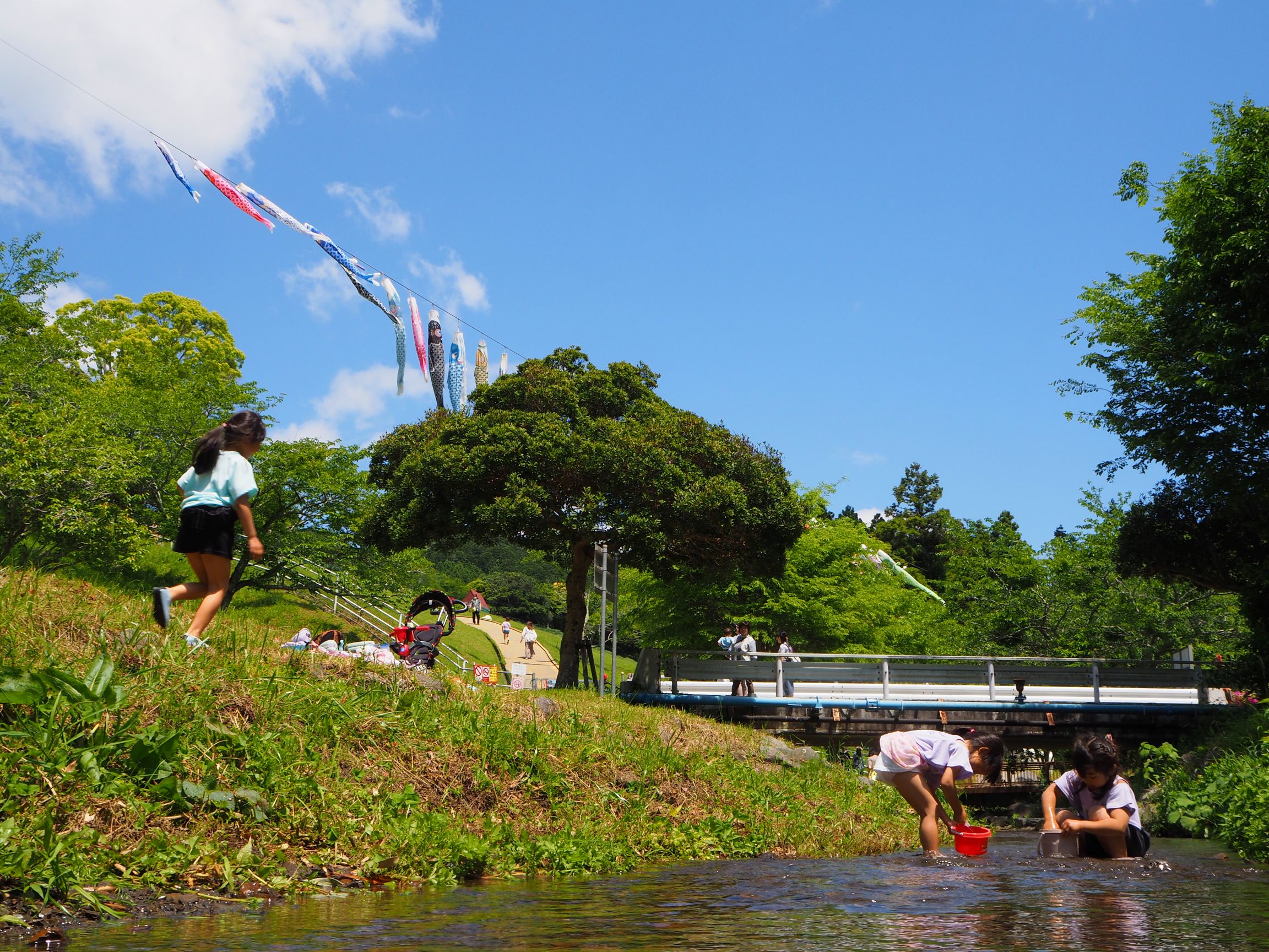 酪農の里/丸山地区