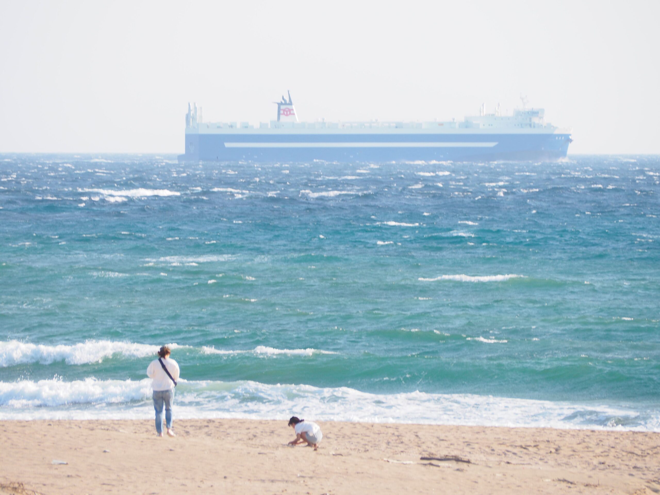根本海岸/白浜地区