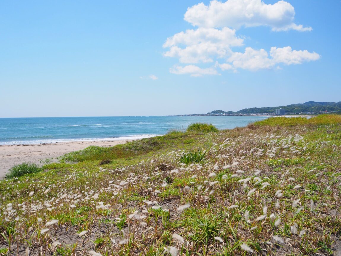 瀬戸浜/千倉地区
