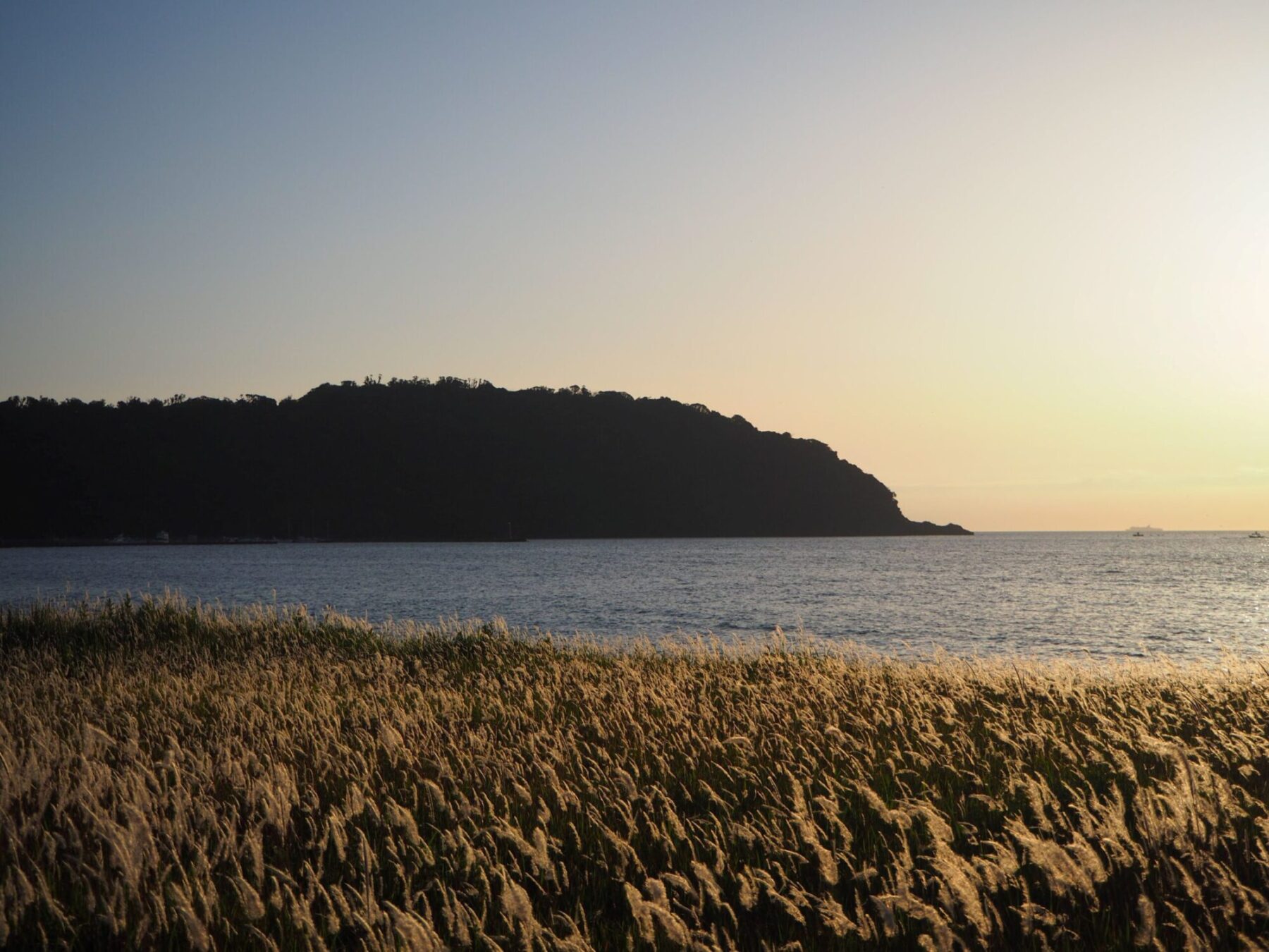 多田良北浜/富浦地区