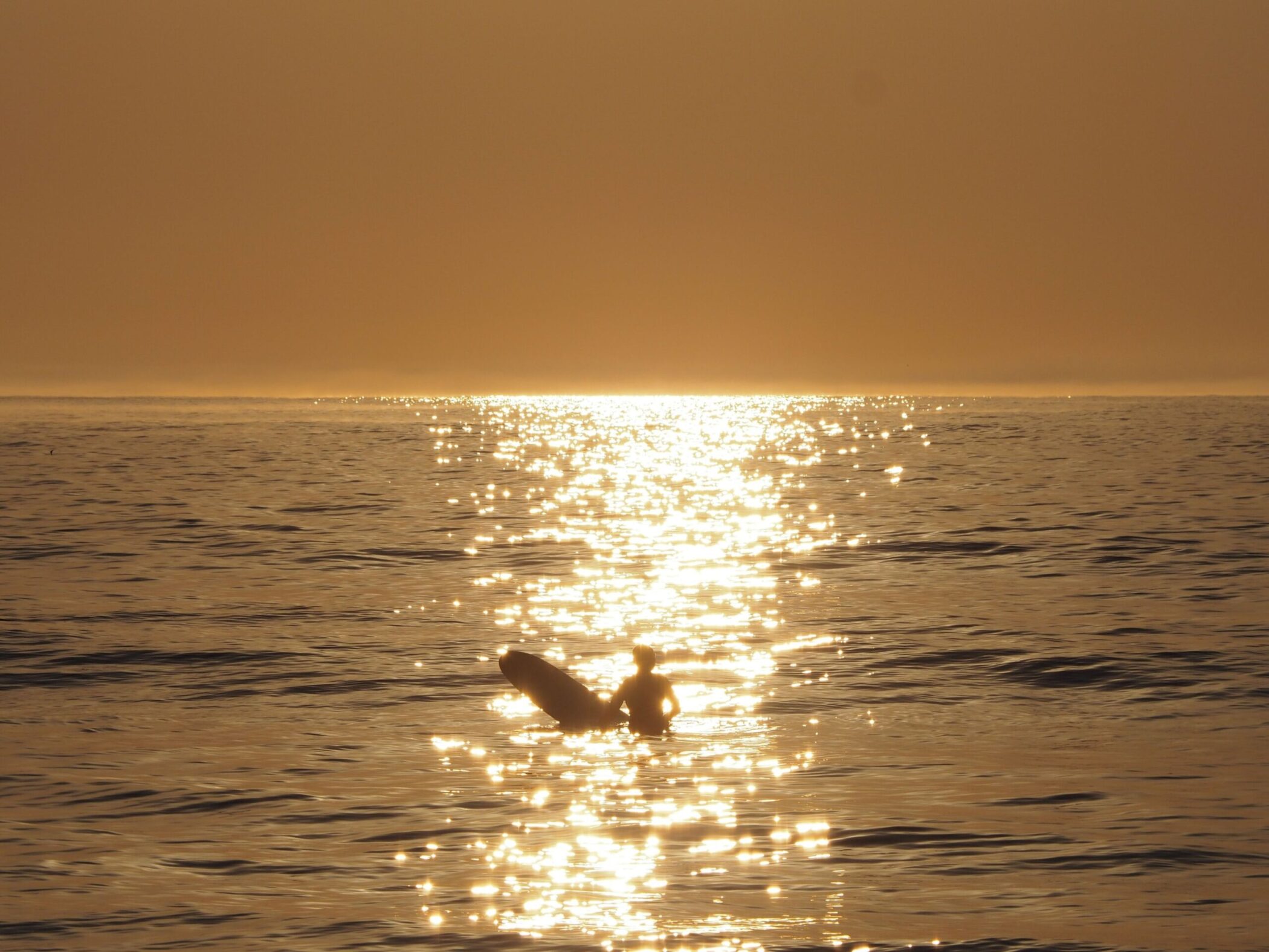 サンロード/千倉海岸