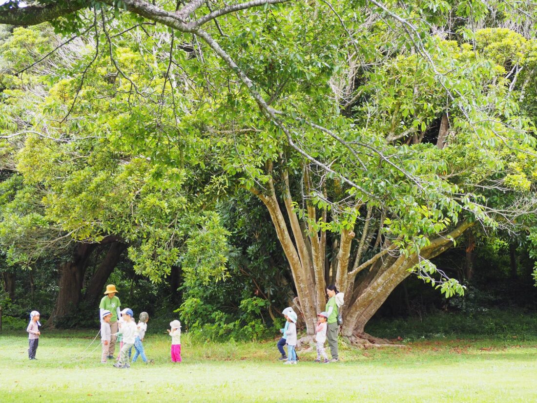 森のようちえん/大房岬