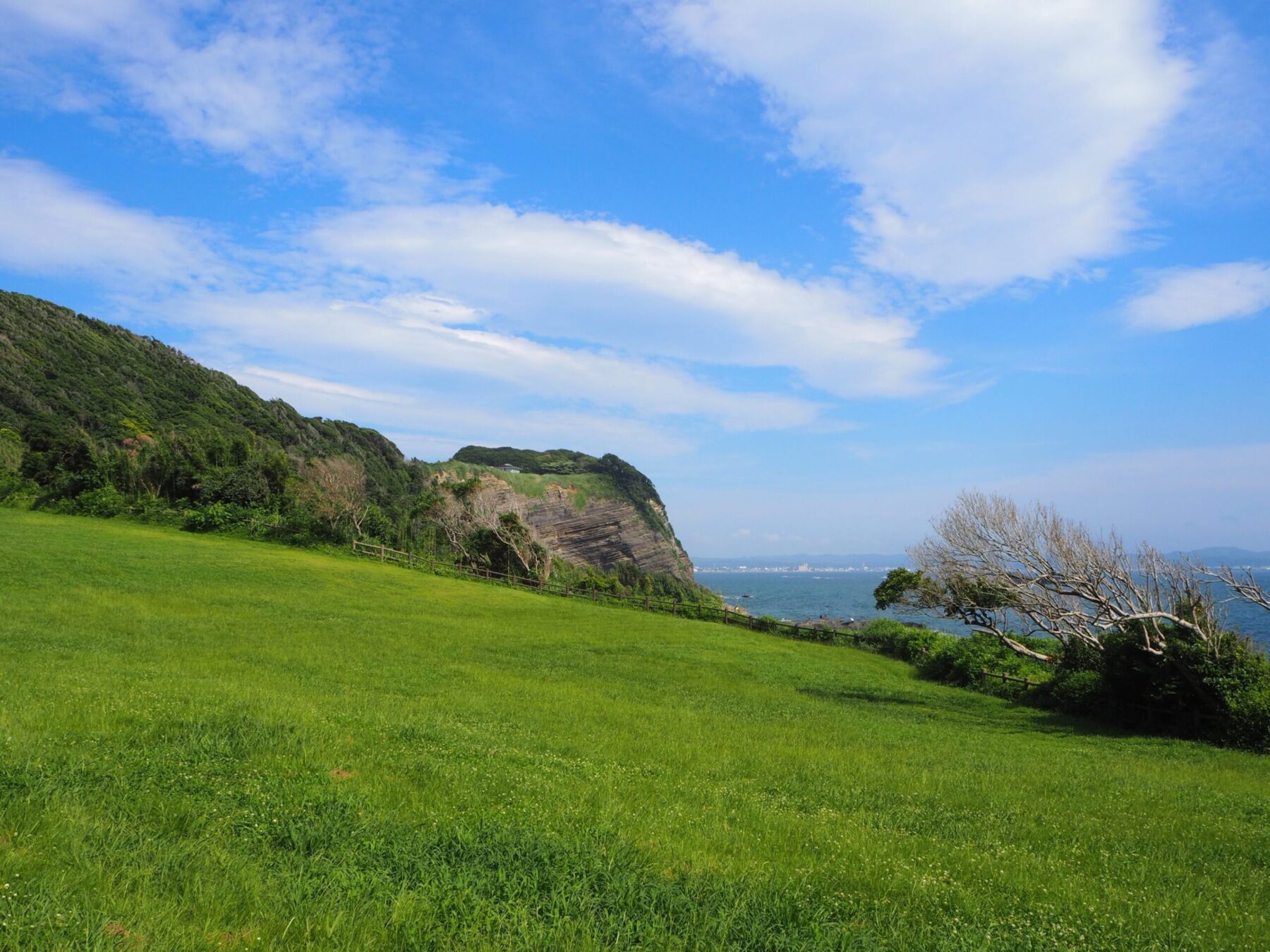 南芝生園地/大房岬