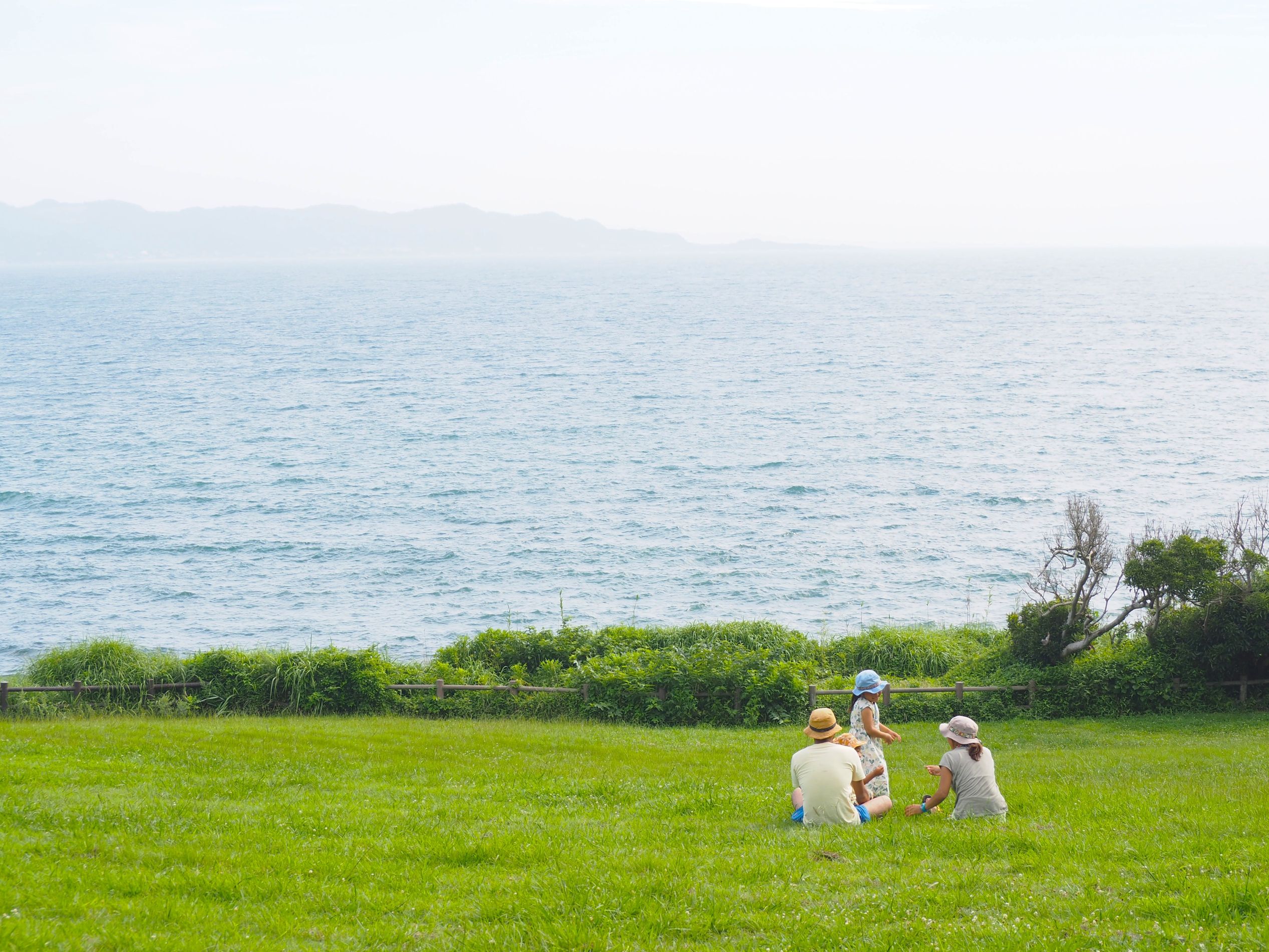 南芝生園地/大房岬