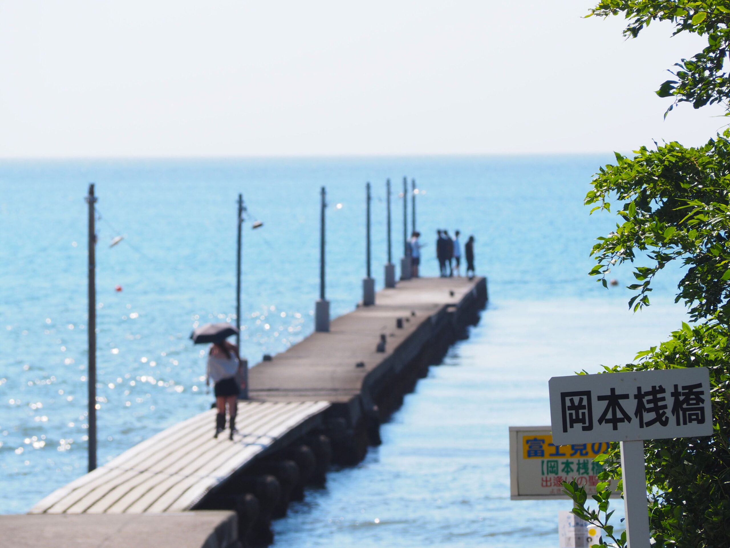 岡本桟橋/富浦地区