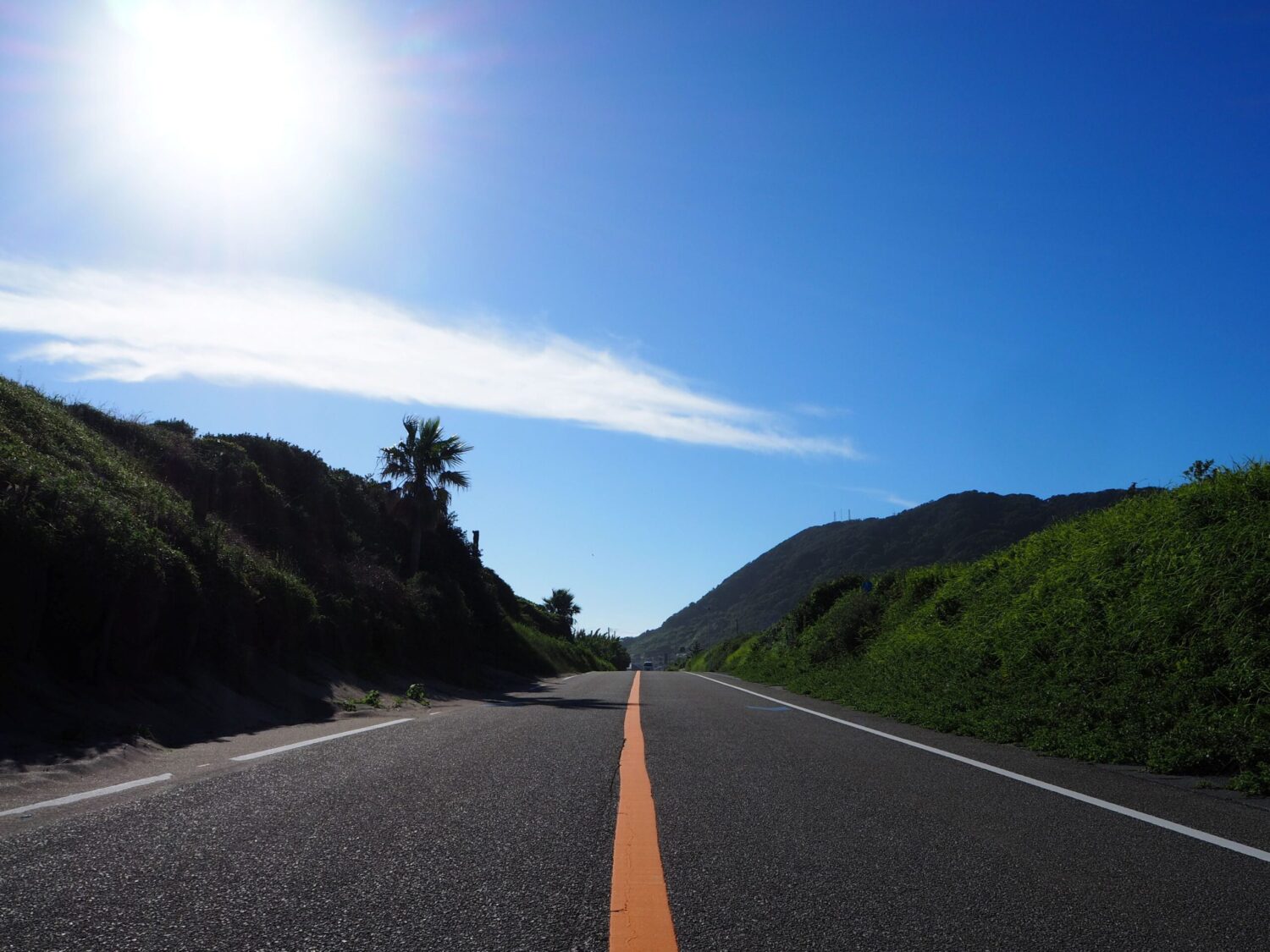根本海岸/白浜地区