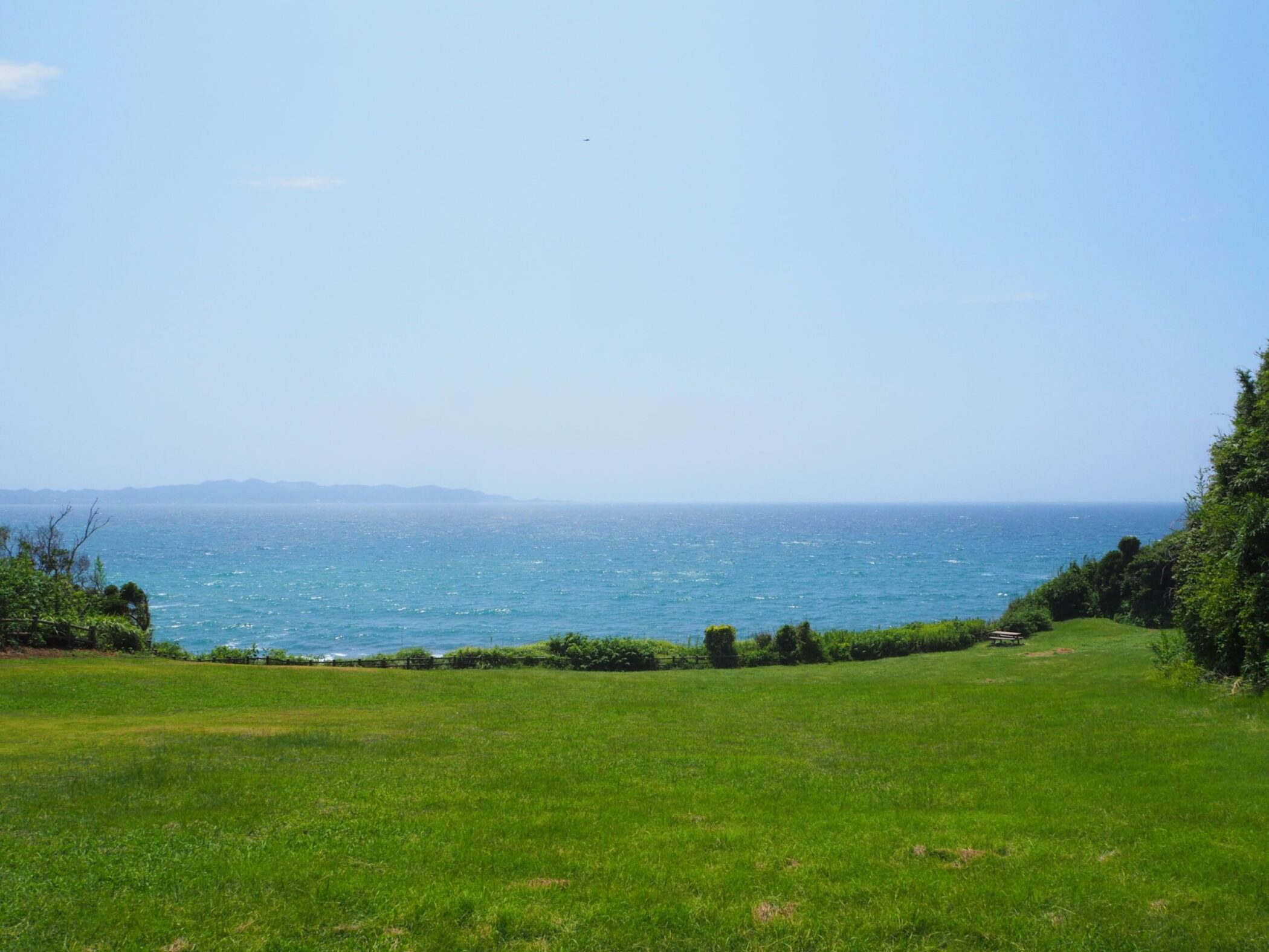 南芝生園地/大房岬