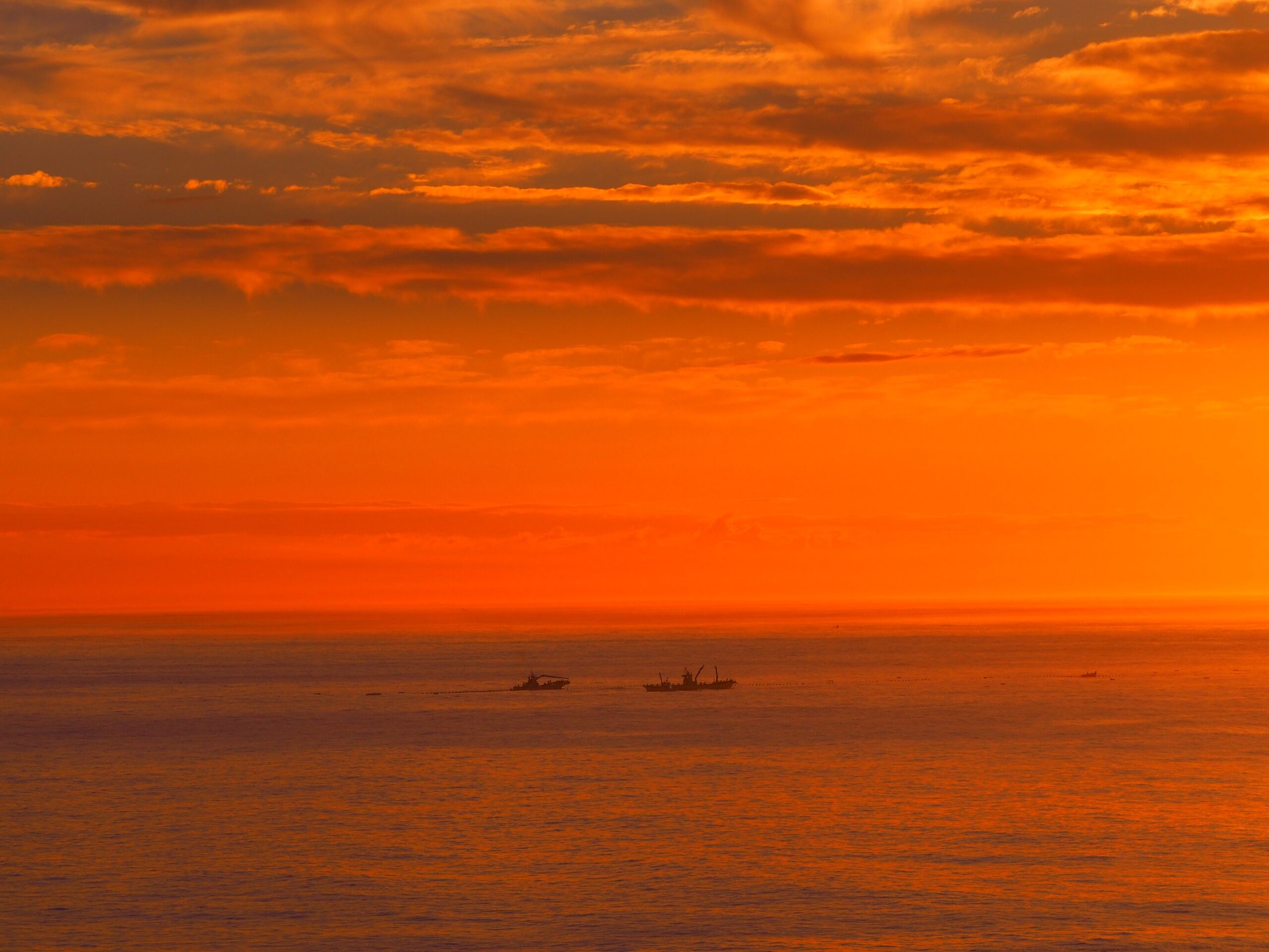 定置網漁/千倉地区