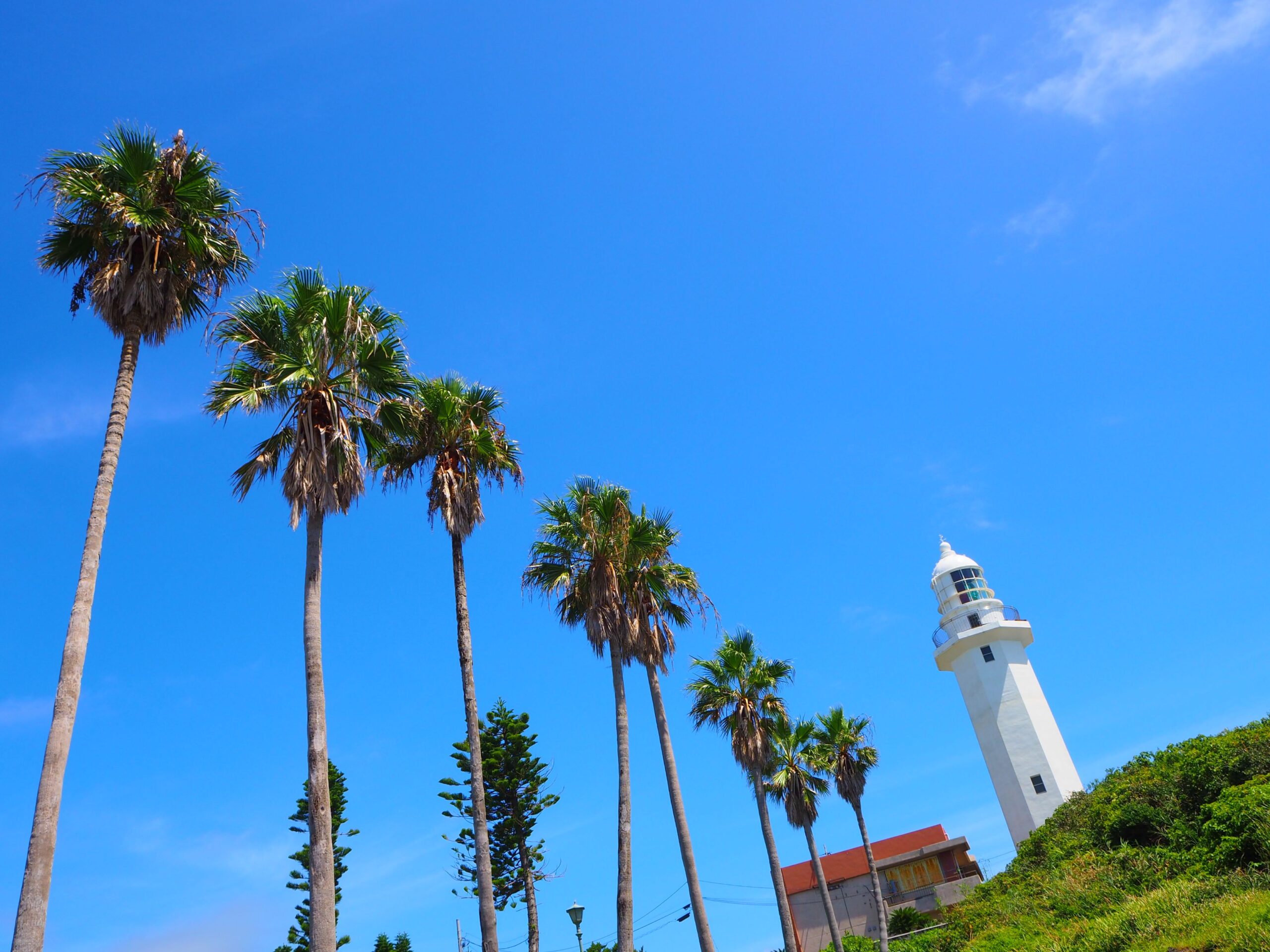 野島崎灯台/白浜地区