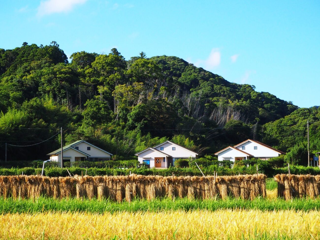 新規就農支援施設/三芳地区
