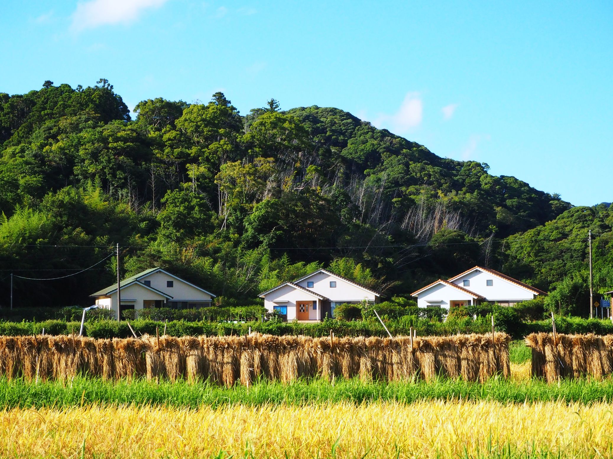 新規就農支援施設/三芳地区