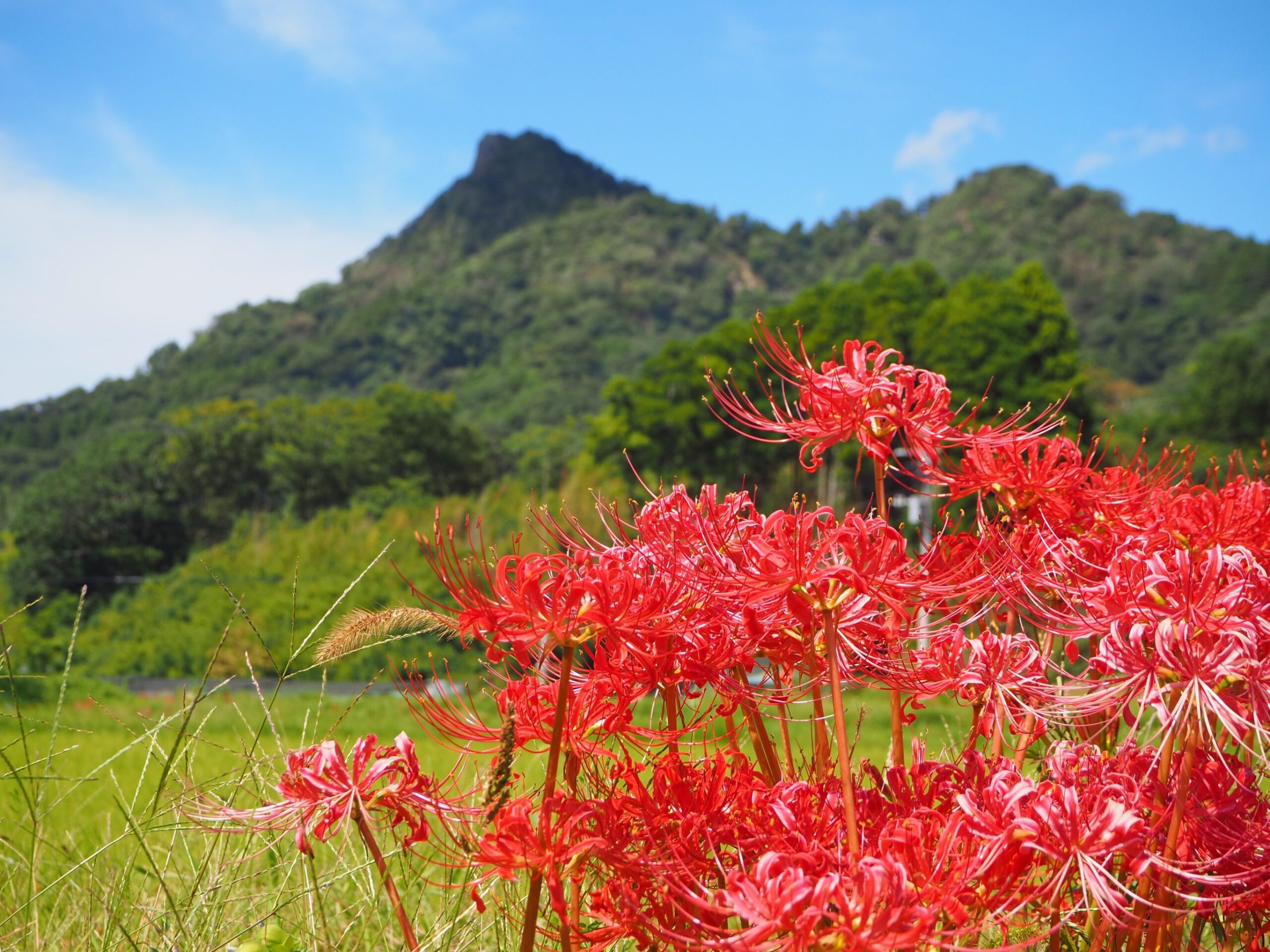 伊予ヶ岳/富山地区