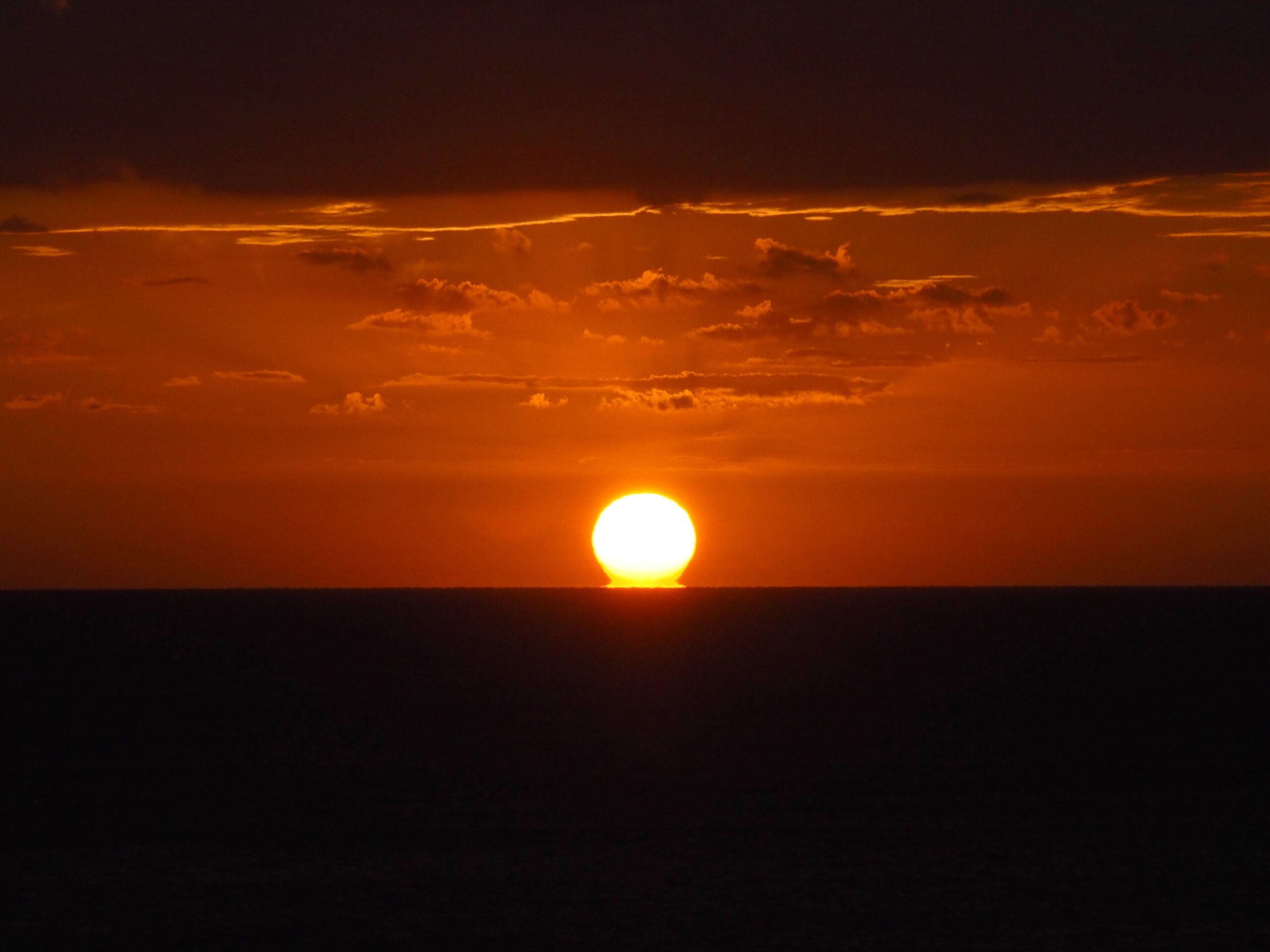 だるま朝日/外房
