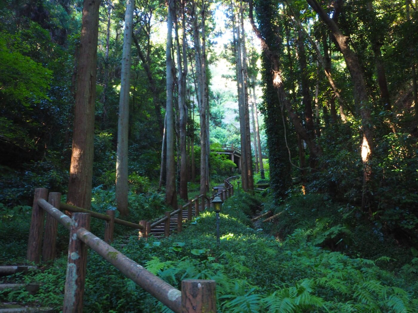 伏姫籠穴/富山地区