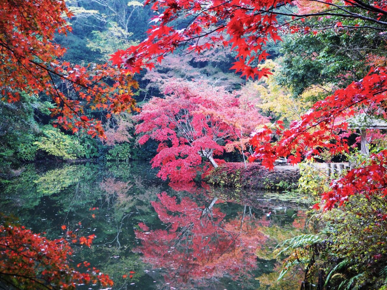 小松寺/千倉地区