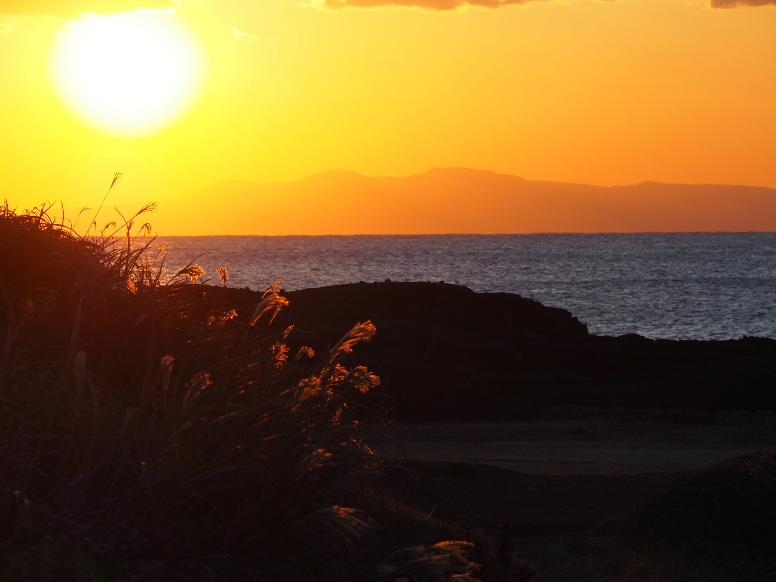 大島を望む/白浜地区