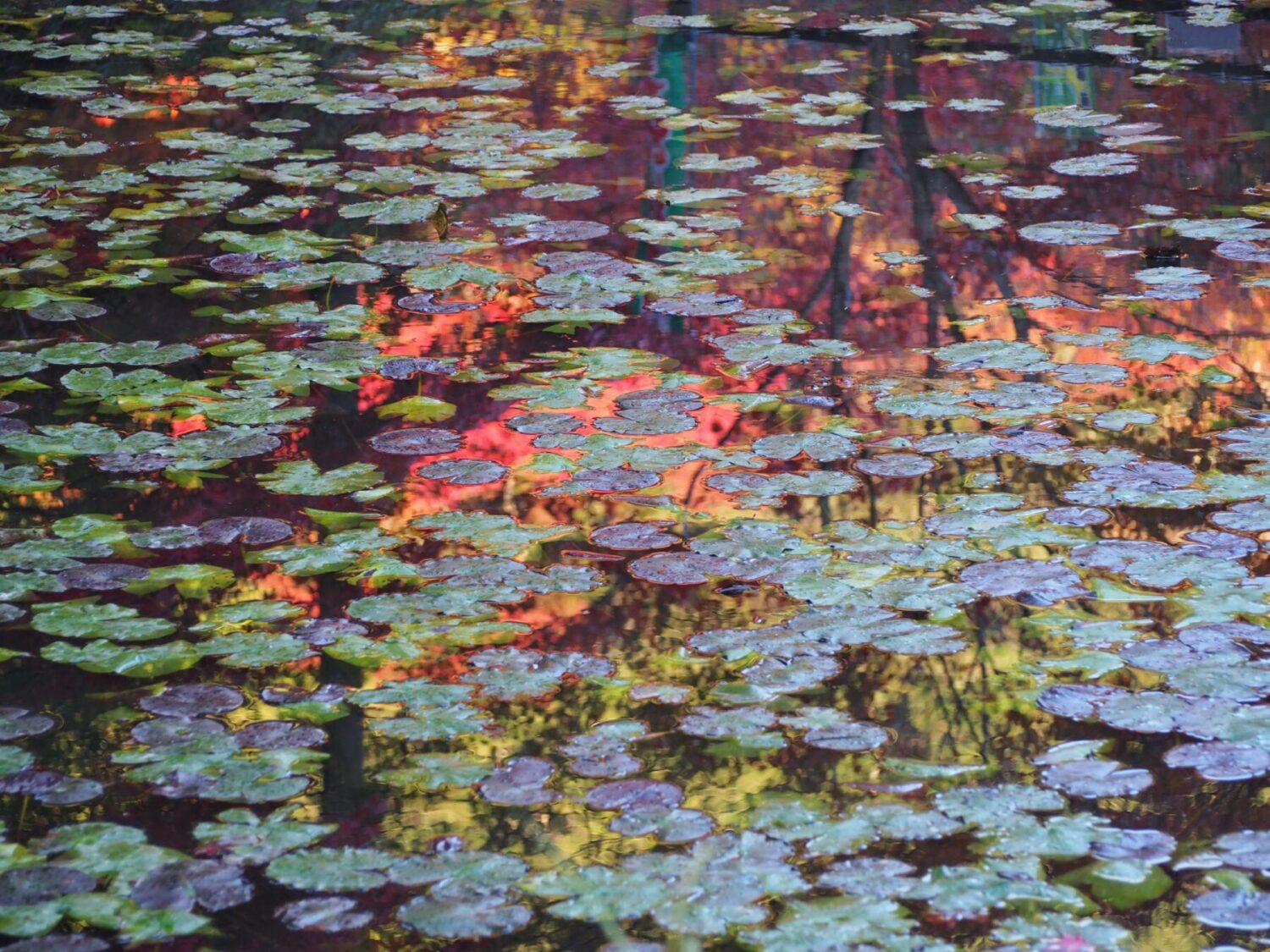 小松寺/千倉地区