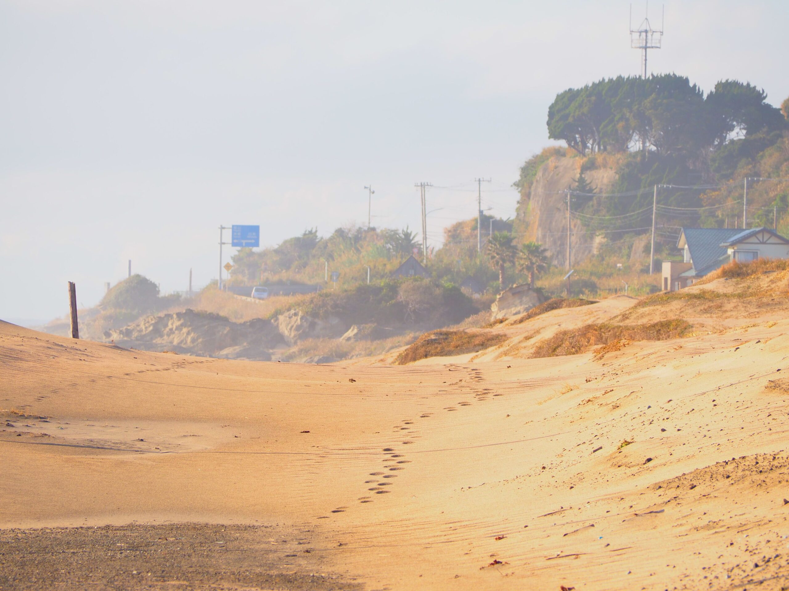 根本海岸/白浜地区