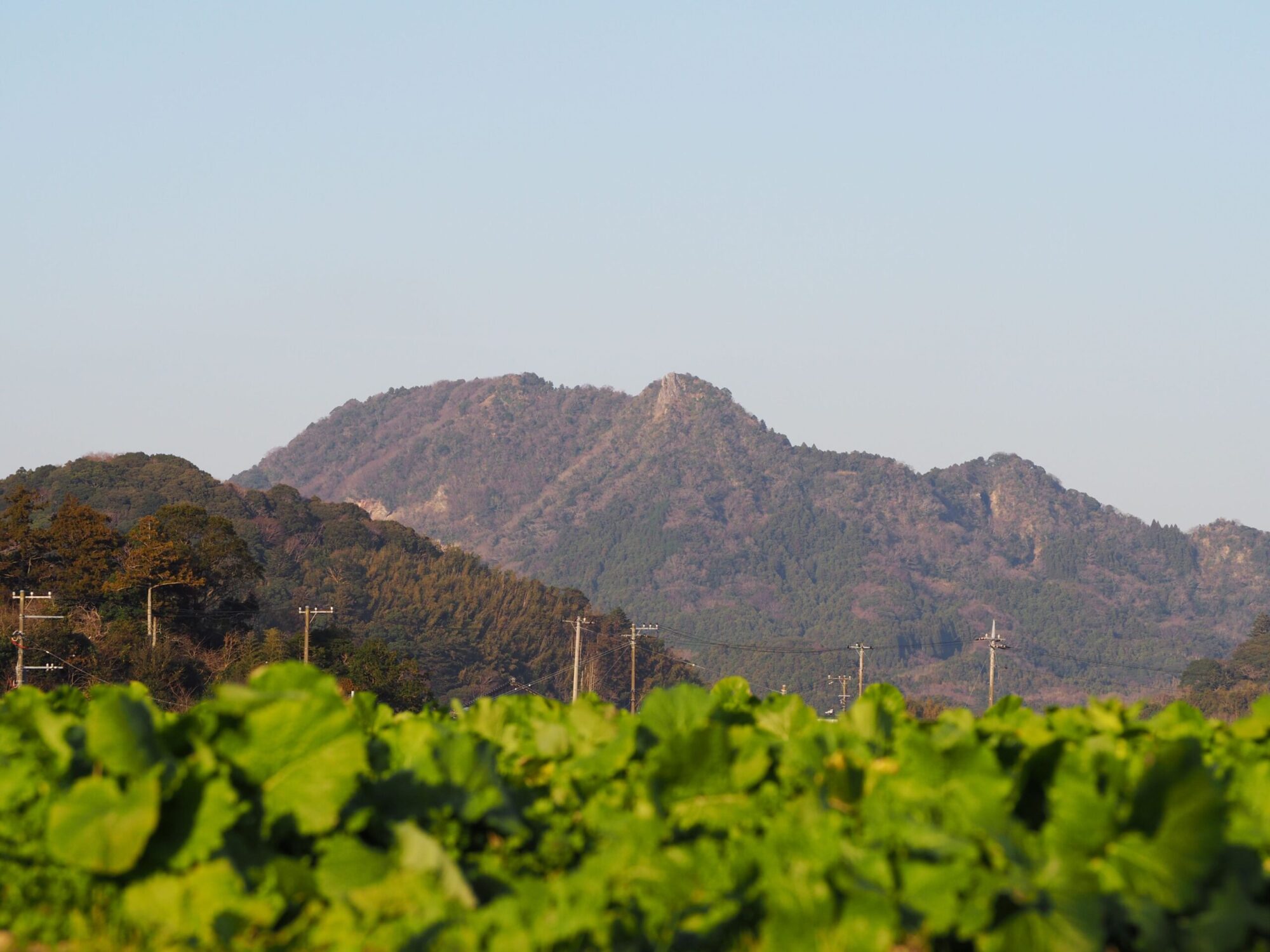 伊予ヶ岳を望む/三芳地区