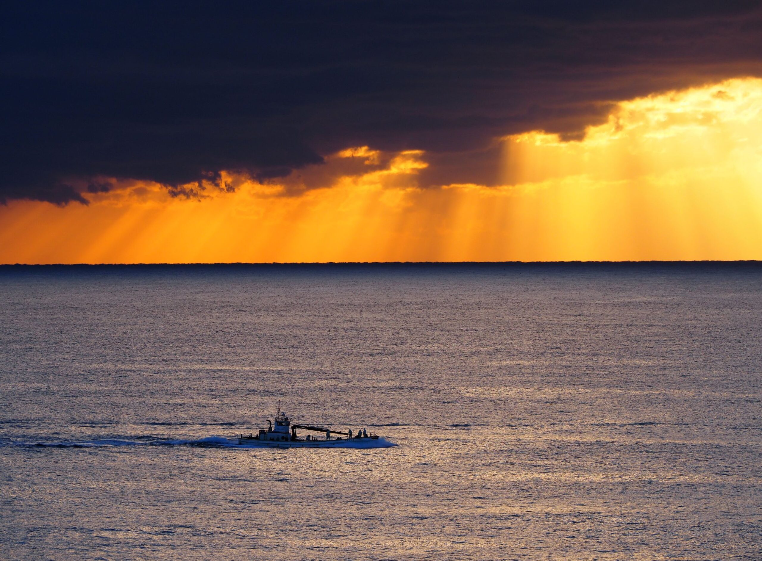 定置網船/千倉地区