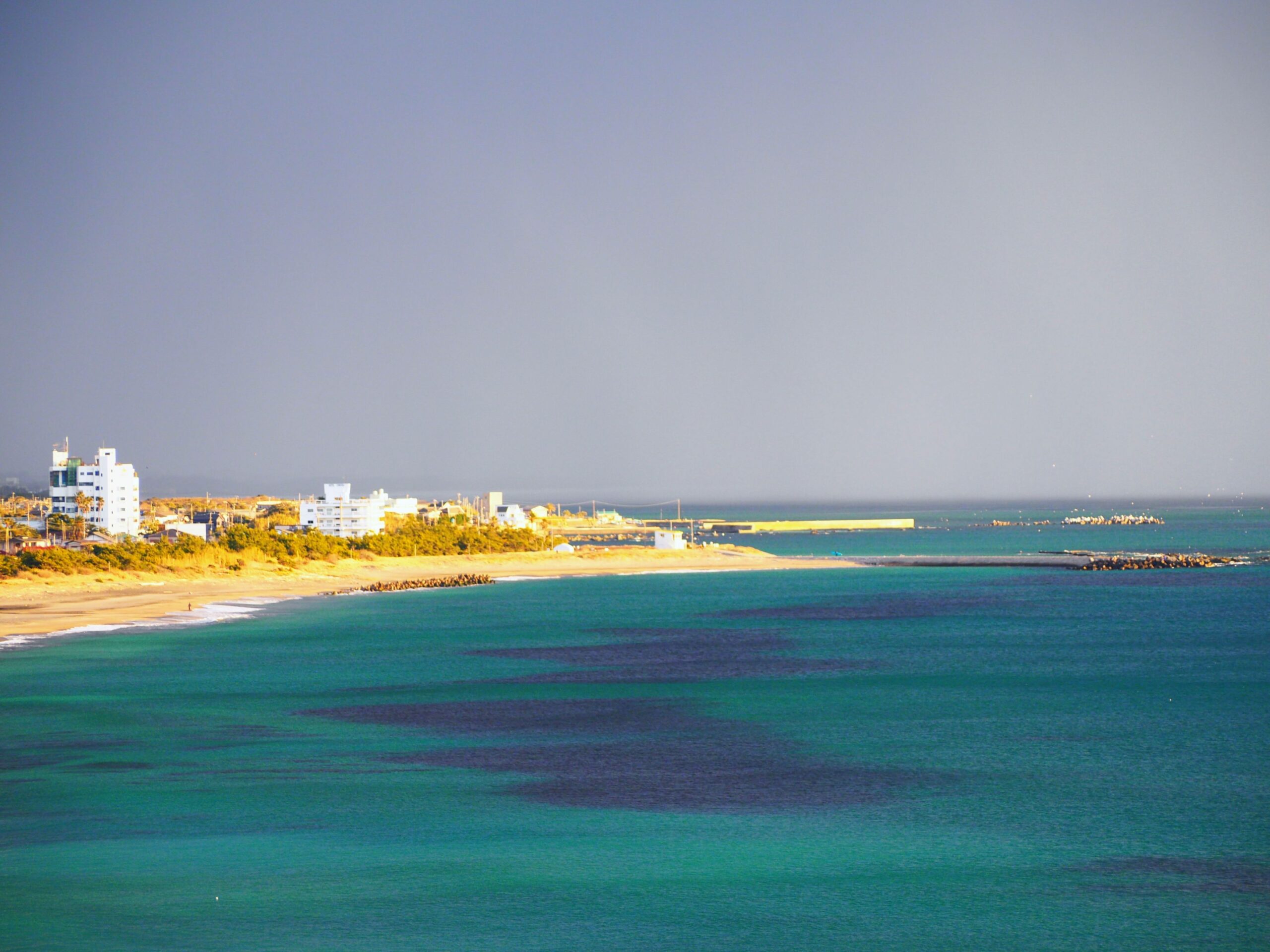 冬の海岸/千倉地区