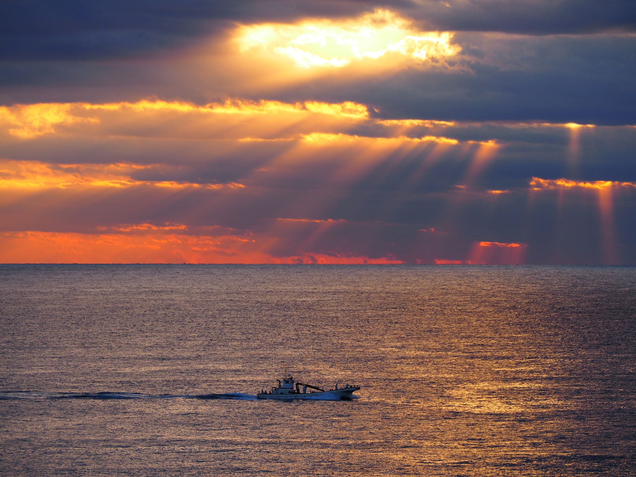 定置網船/千倉地区